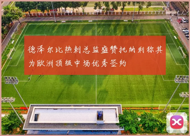 德泽尔比热刺总监盛赞托纳利称其为欧洲顶级中场优秀签约